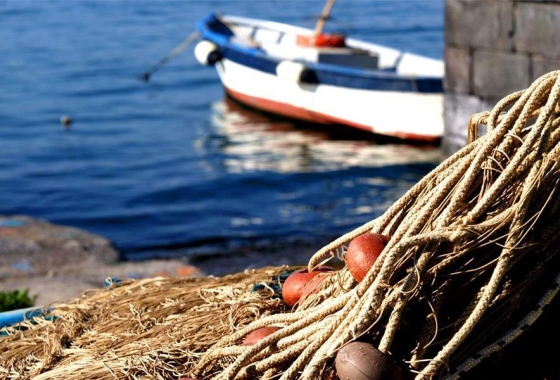 PESCATURISMO