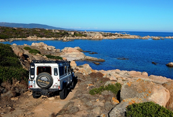 ESCURSIONI ASINARA